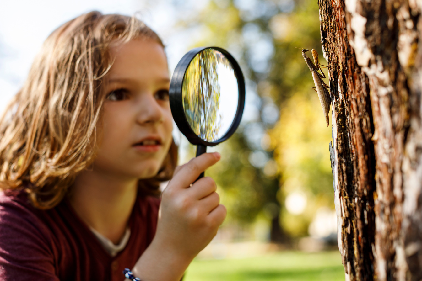 Child exploring nature